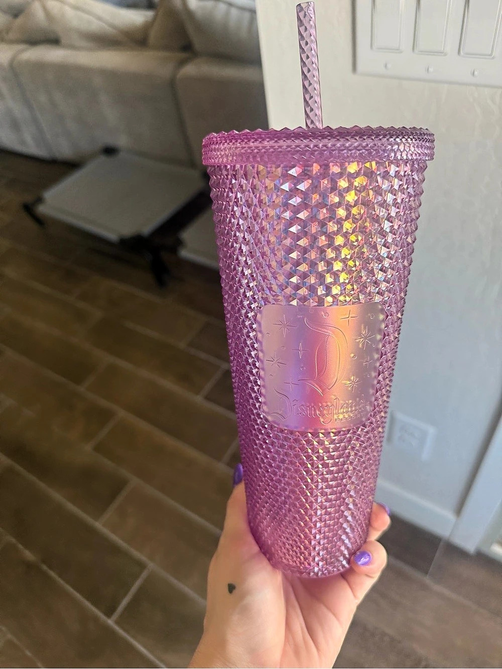 Starbucks Disneyland Pink Earidescent Studded Tumbler